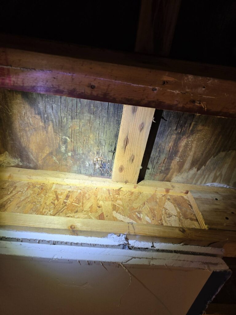 Improper nailing causes deck waterproofing to fail