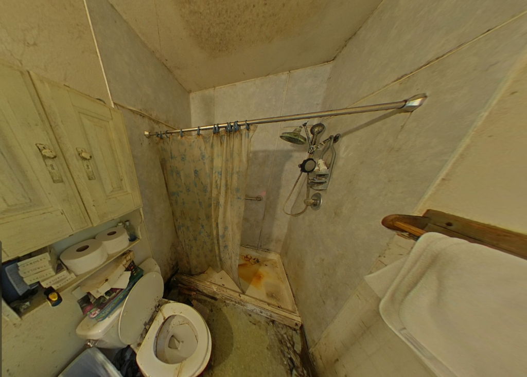 San Marcos Mold Bathroom Before Mitigation Services