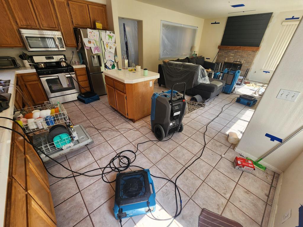 Site stabilization and start of dryout after fire sprinklers flood home